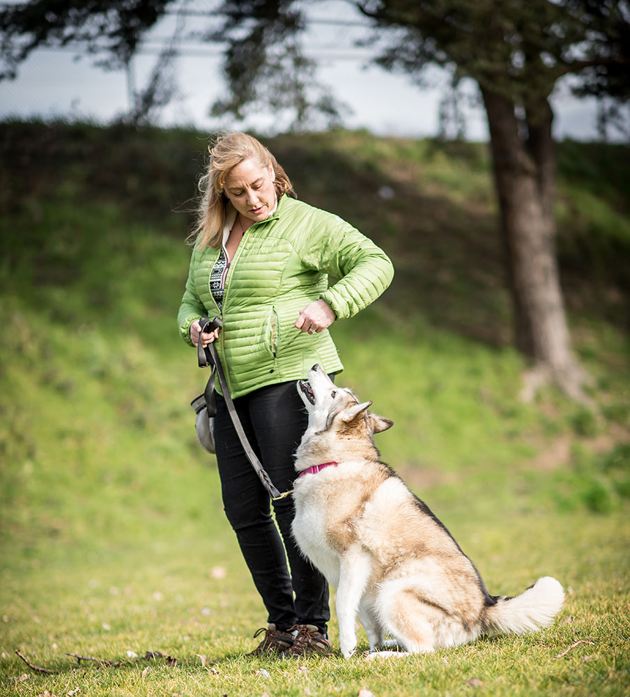 Learning 4 Life Dog Training | Seattle Dog Trainer